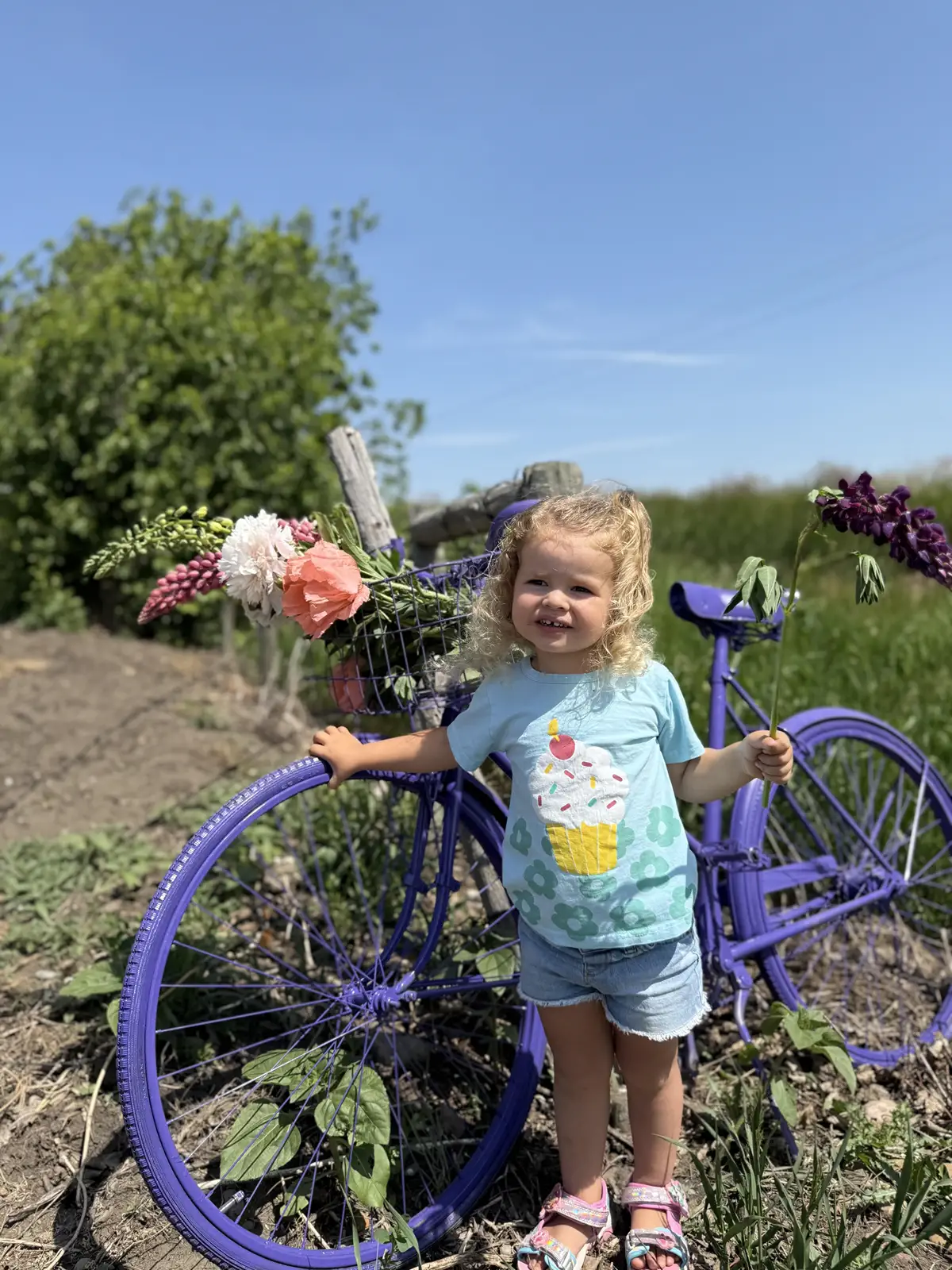 Beautiful flower garden at BG Bouquet farm showing the u-pick experience